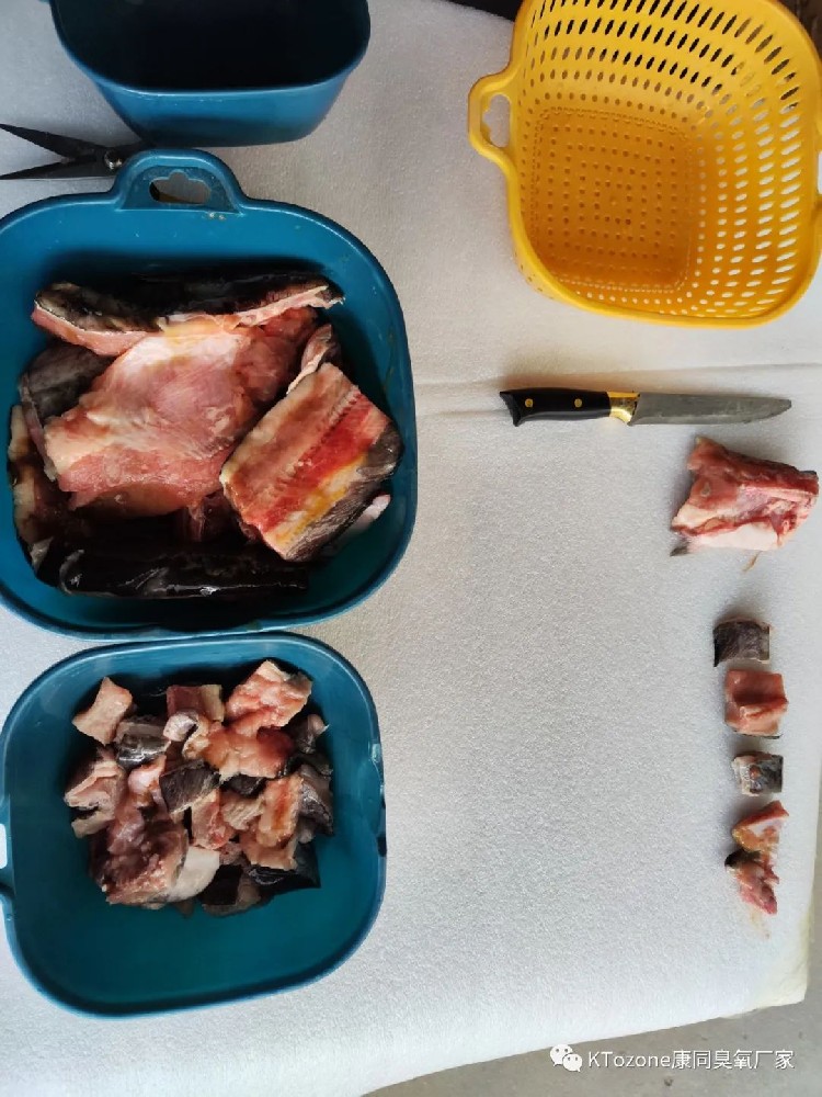 臭氧可以用于魚肉去腥去血水嗎？